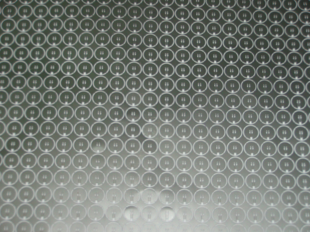 P1015082.JPG